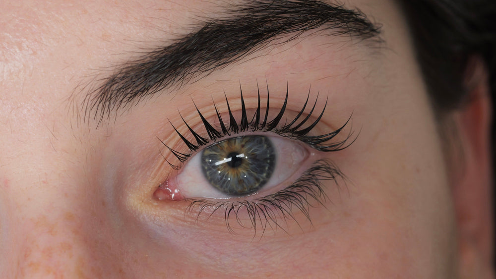 The Complete Guide to Choosing the Right Lash Service for Your Eye Shape