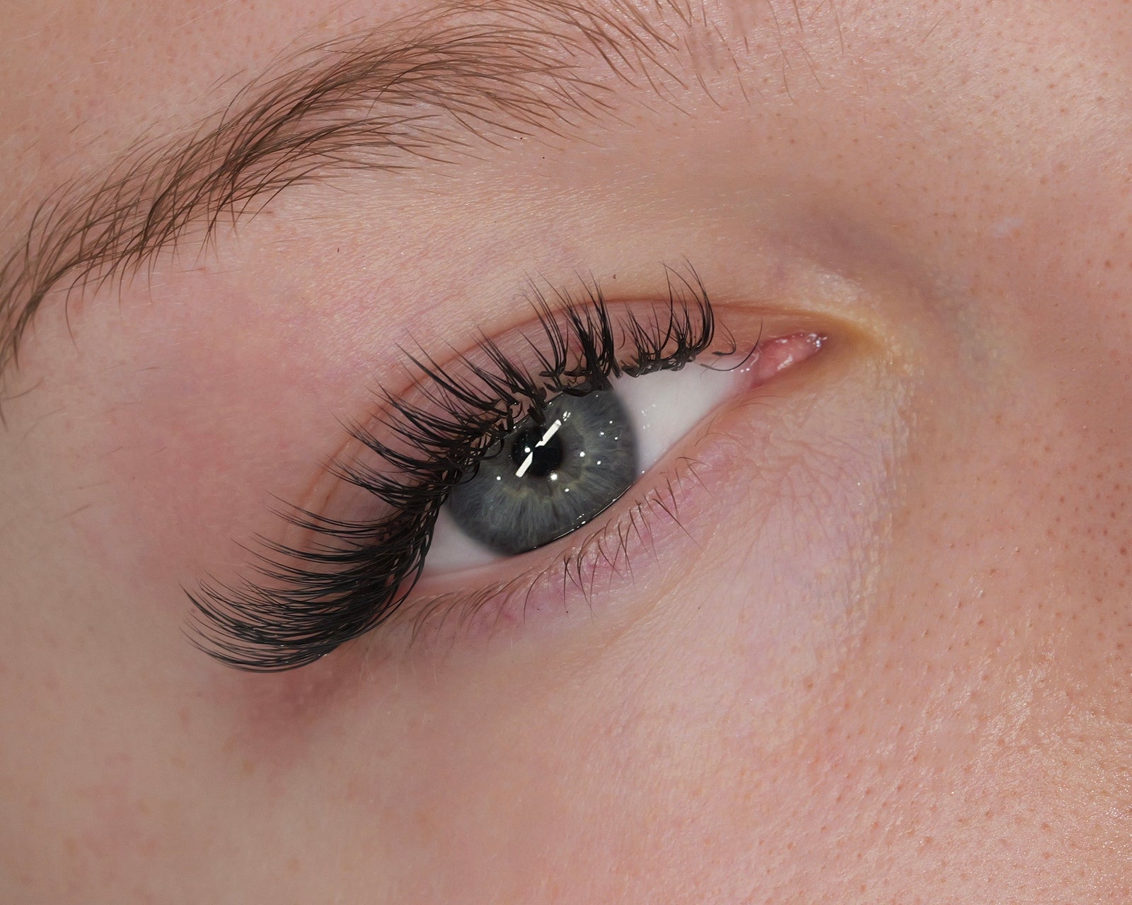 Signature Wet Look lash extensions in Crows Nest Sydney at Lashes in Nest